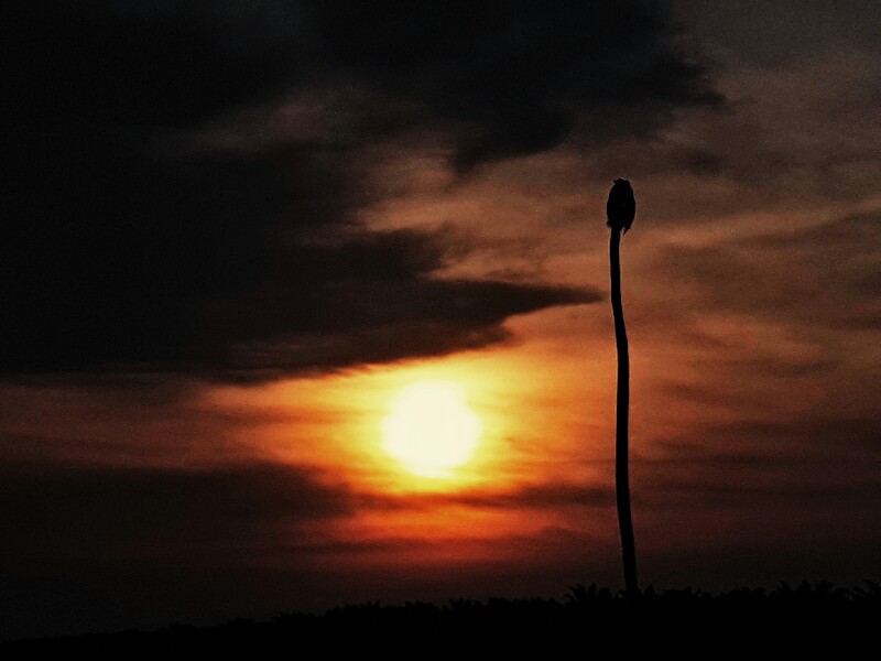 P60809-190442-800x600