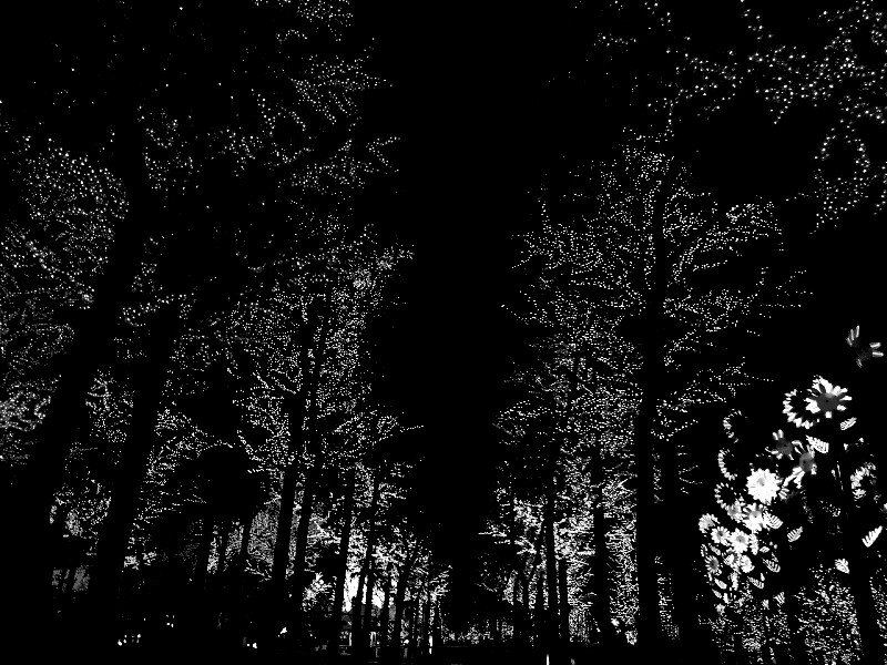 P60811-195157-800x600