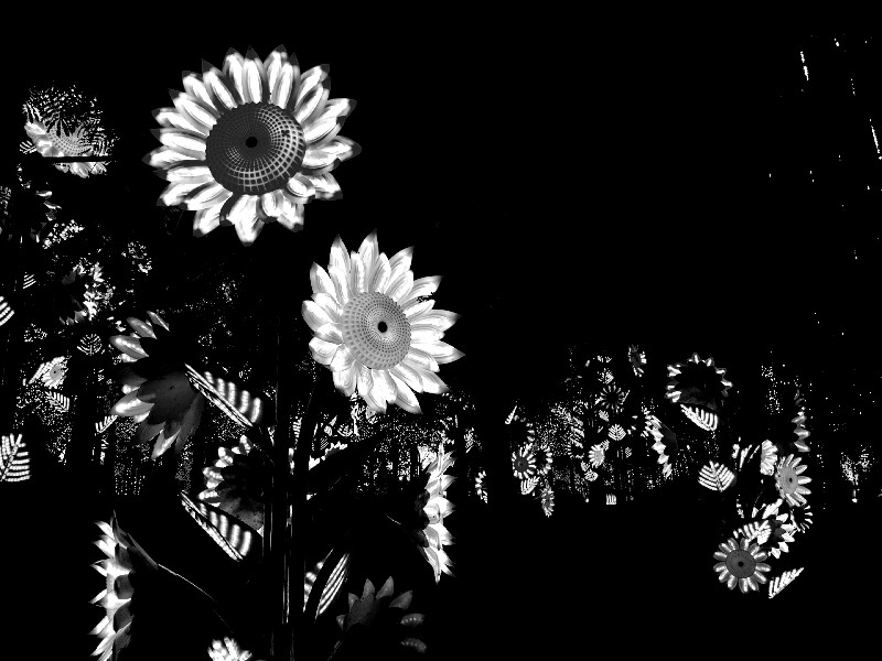 P60811-195256-800x600