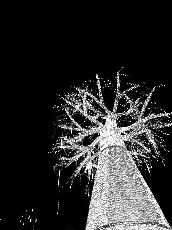 P60811-211914-600x800
